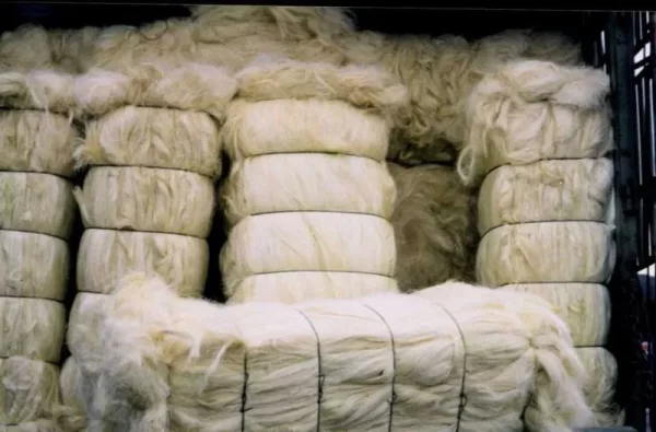 Buy ssug grade sisal fibre online